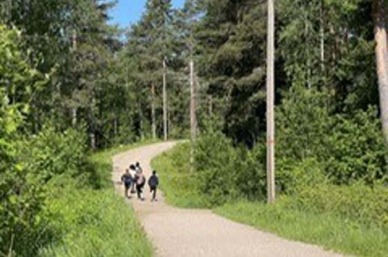 en gruppe mennesker som rir på hester på en grusvei omgitt av trær