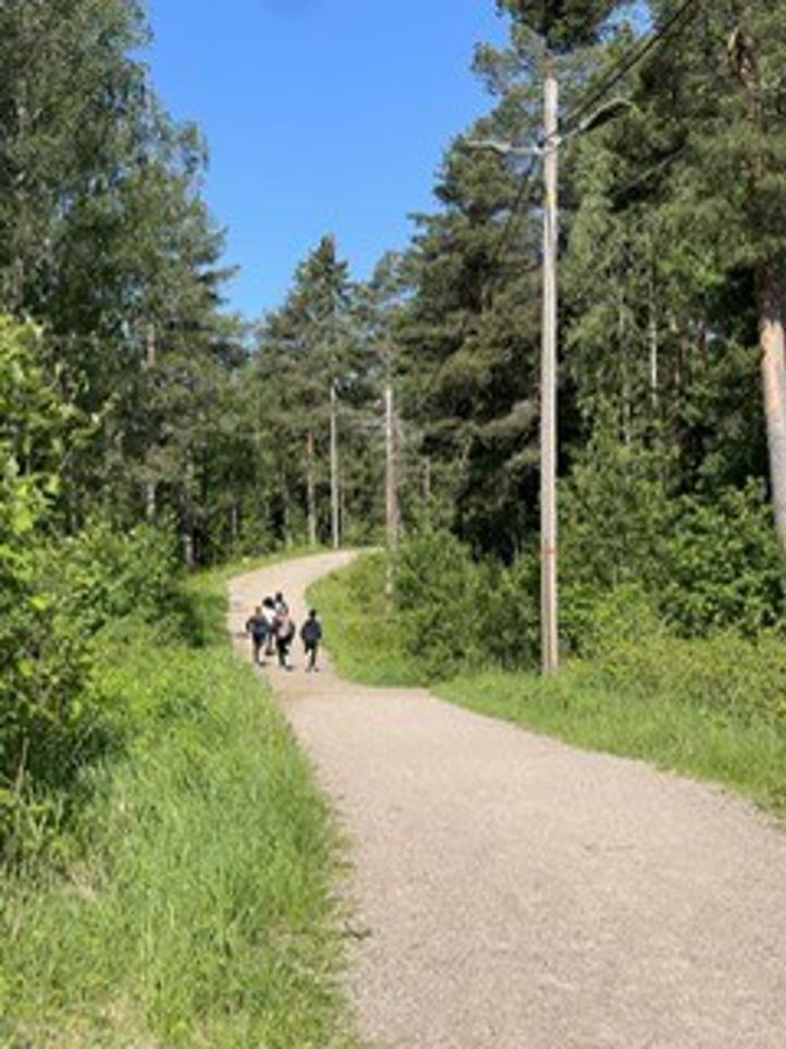 en gruppe mennesker som rir på hester på en grusvei omgitt av trær